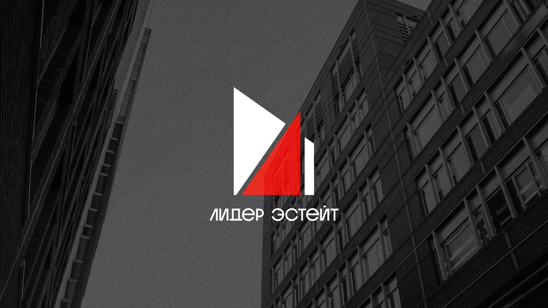 Сделали логотип для агентства недвижимости «Лидер Эстейт» в Ковылкино